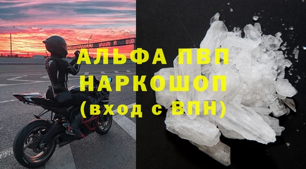 гидра Алексин