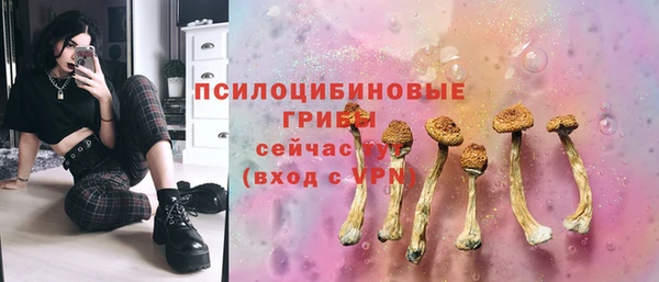 гидра Алексин