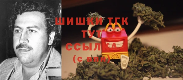 гидра Алексин