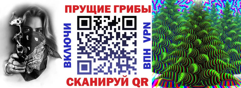 OMG как войти  Юрьевец  Галлюциногенные грибы Psilocybe 